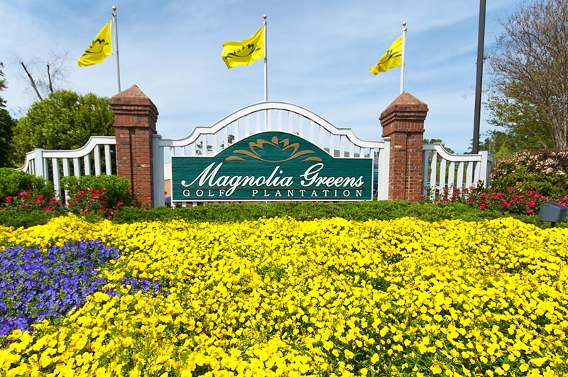 magnolia greens
